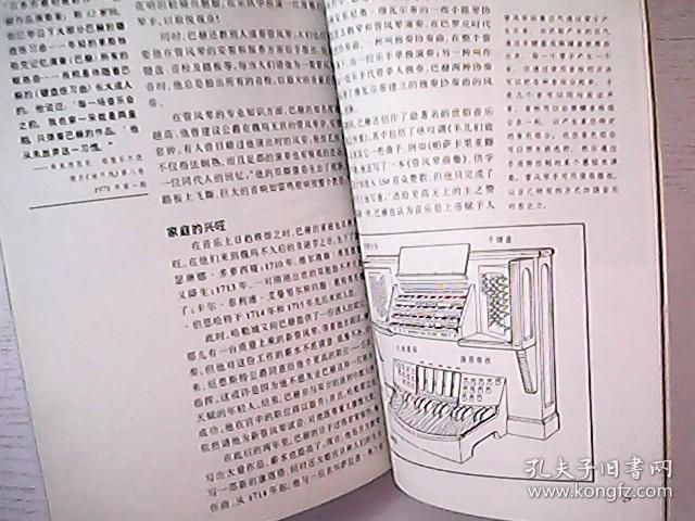 fea2983e346ff21f_b.jpg