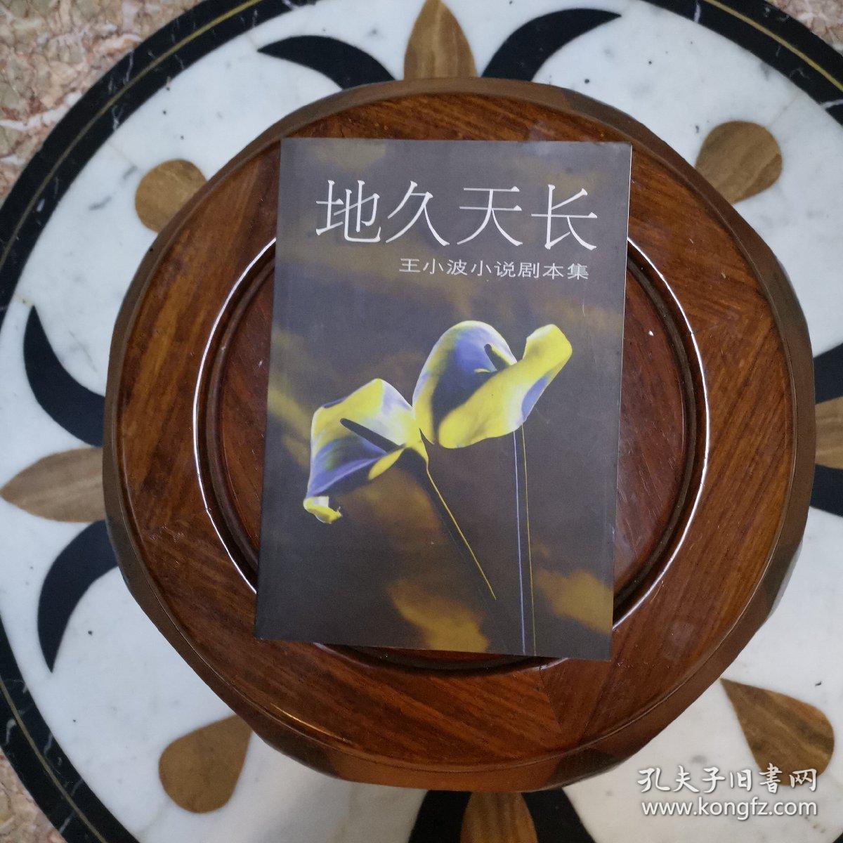 地久天长:王小波小说剧本集