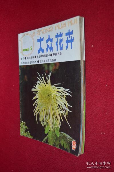 商铁树与短剧的魅力