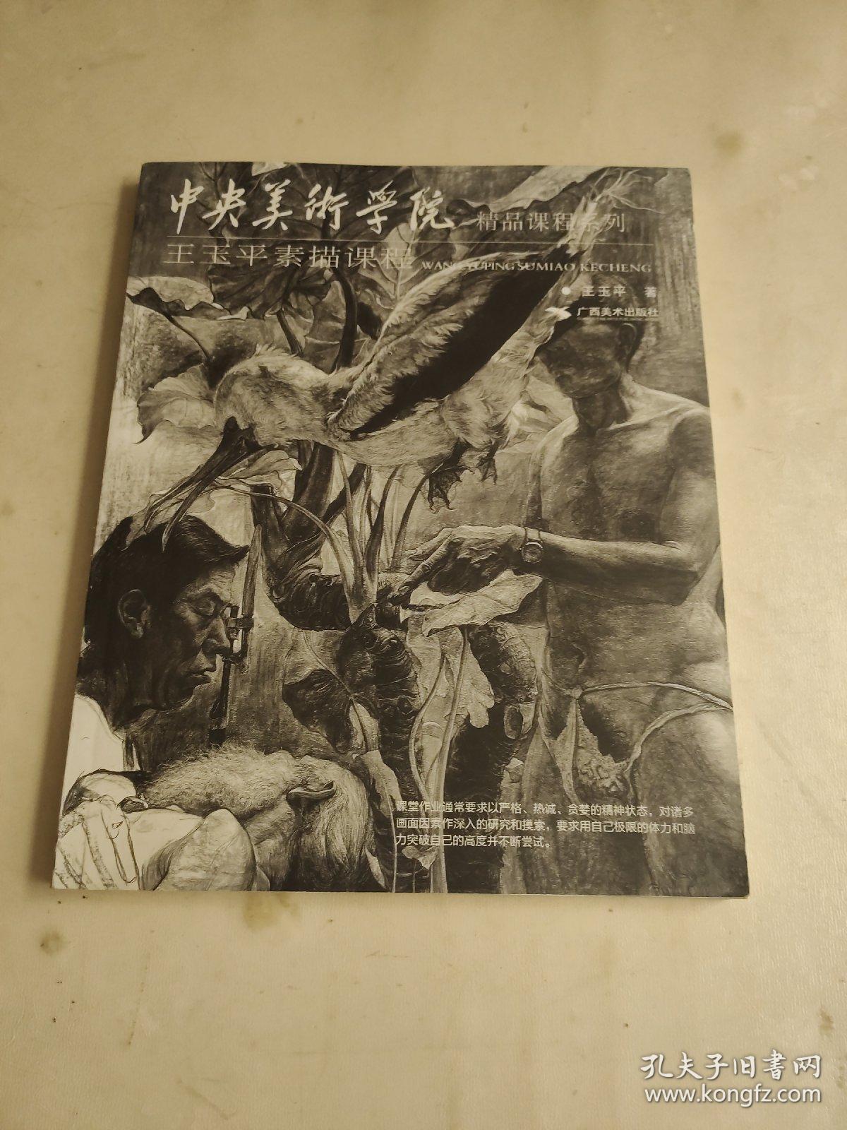 中央美术学院精品课程系列:王玉平素描课程