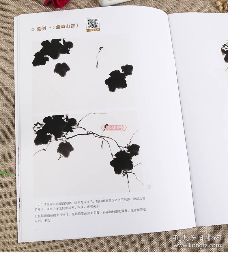 王润 视频教学案例中国画水墨画入门教程临摹范本绘画美术书籍国画