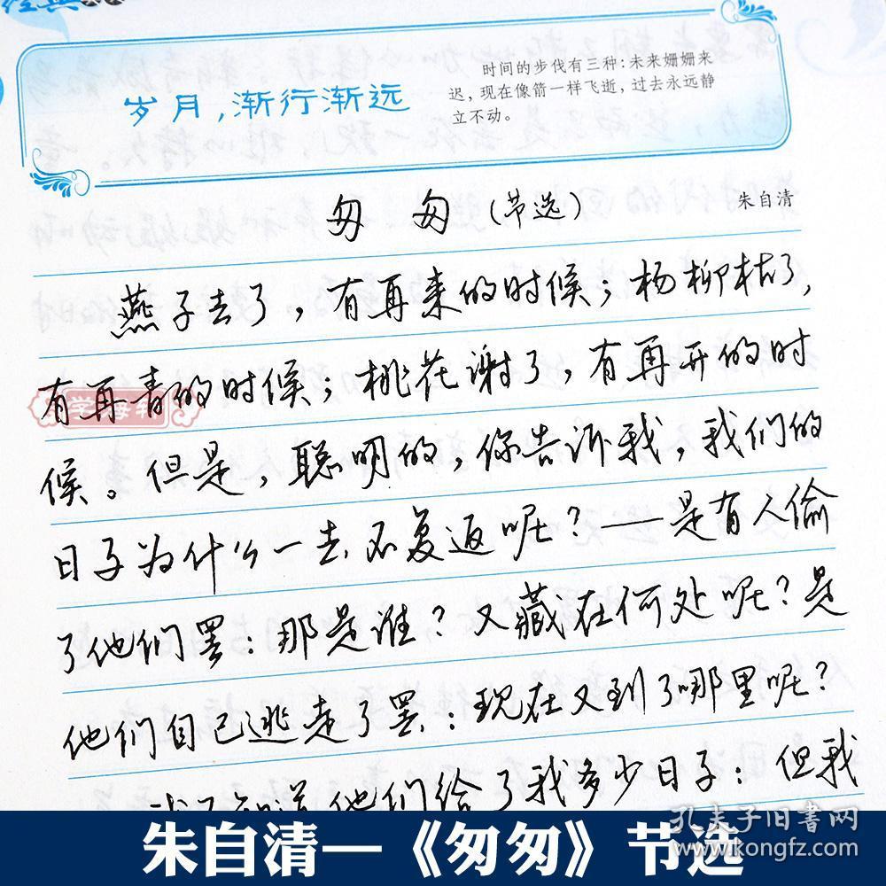 行楷 美文 文化系列字帖 王圣才书 成人学生行楷钢笔硬笔字帖临摹书法