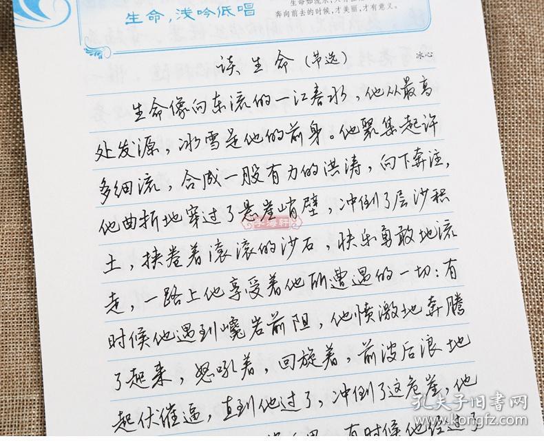行楷 美文 文化系列字帖 王圣才书 成人学生行楷钢笔硬笔字帖临摹书法