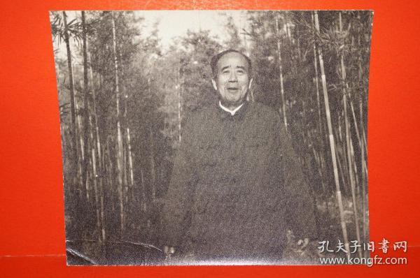 【原国家邮电部副部长李玉奎上世纪七十年代末,八十年代初个人照片1张