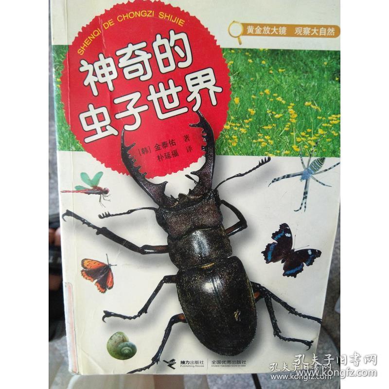 >神奇的虫子世界9787807328414 [韩]金泰佑 著;朴延福 译