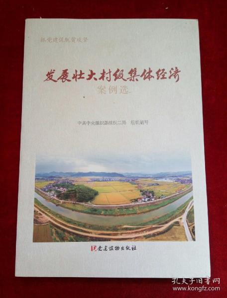 发展壮大村级集体经济案例选