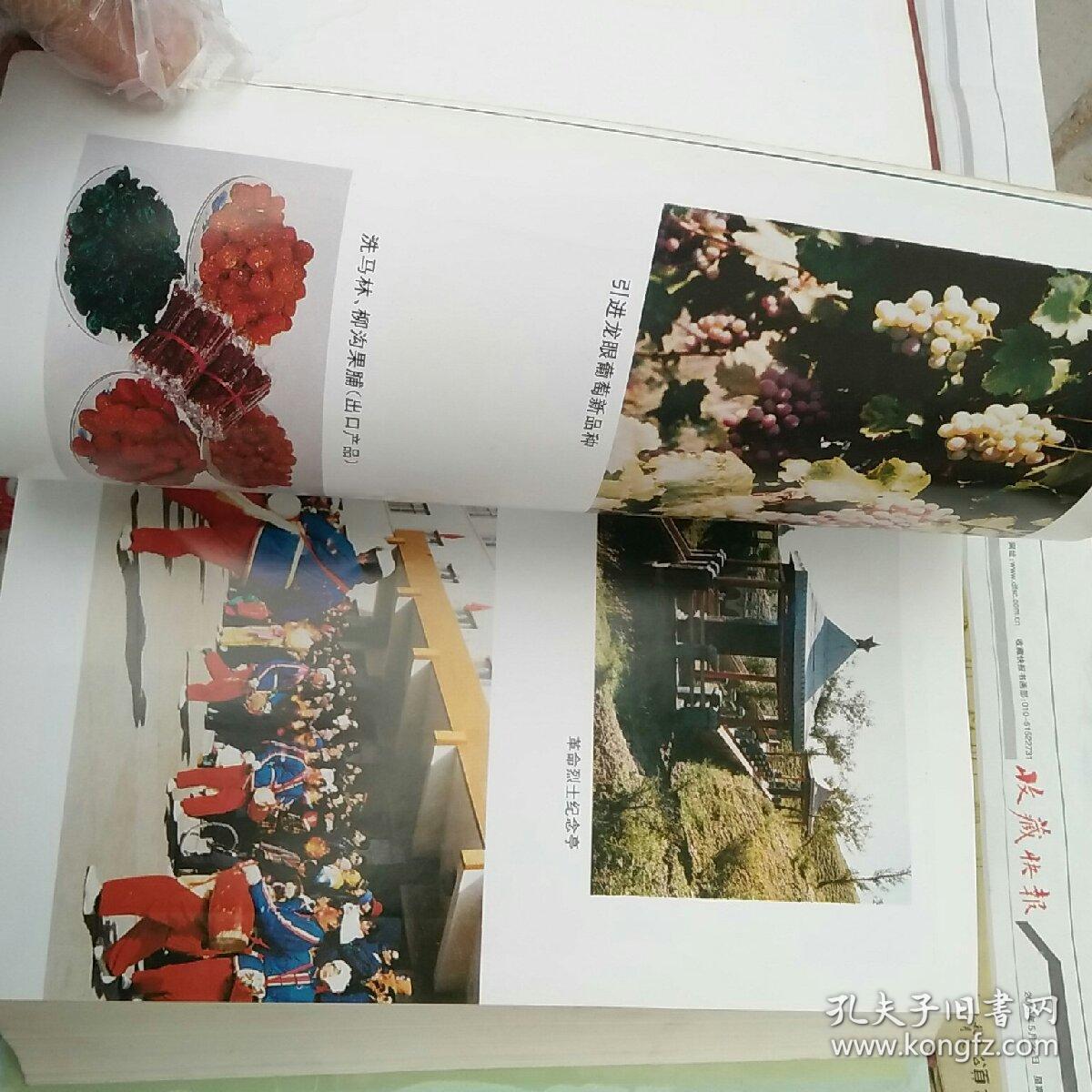 万全县志