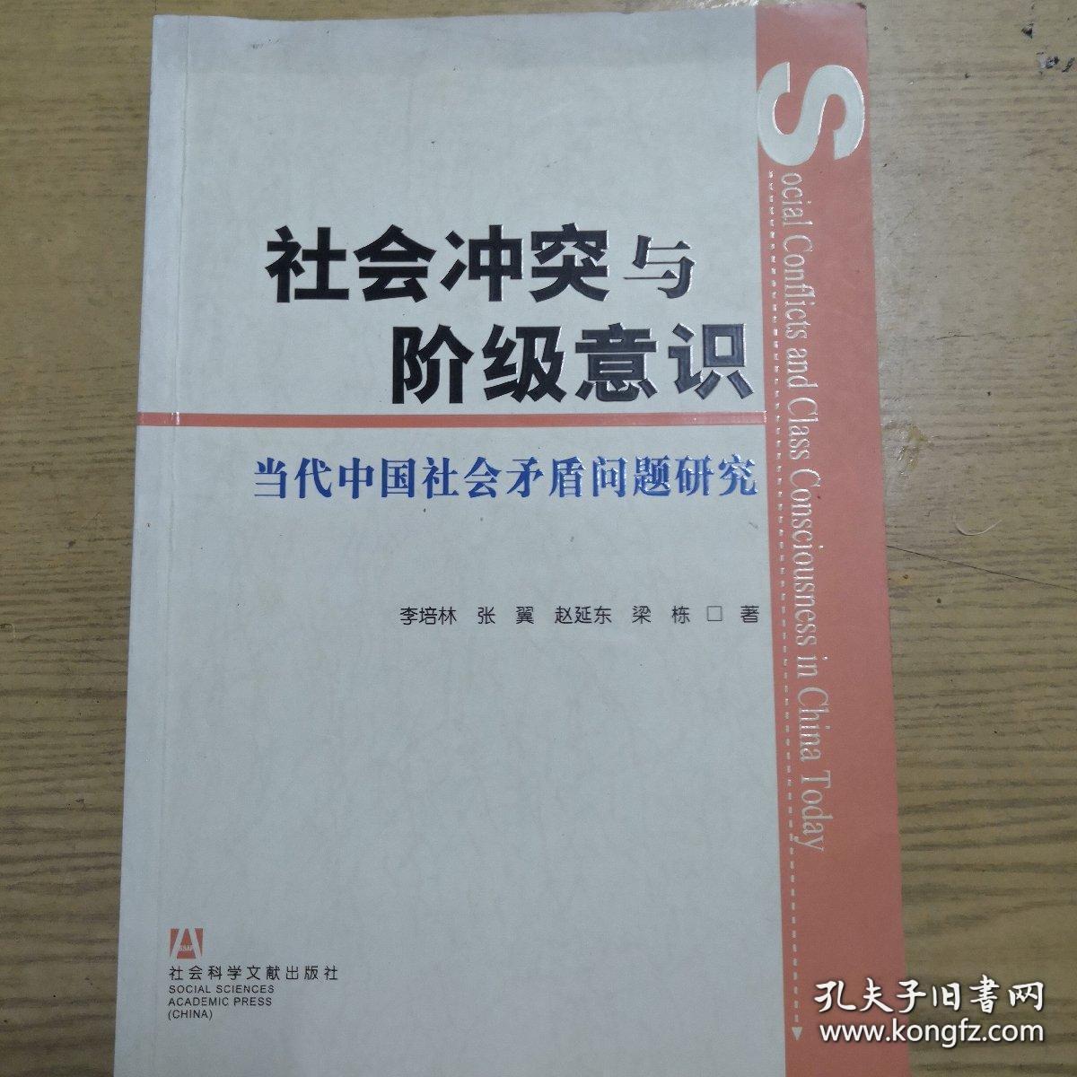 社会冲突与阶级意识:当代中国社会矛盾问题研究.