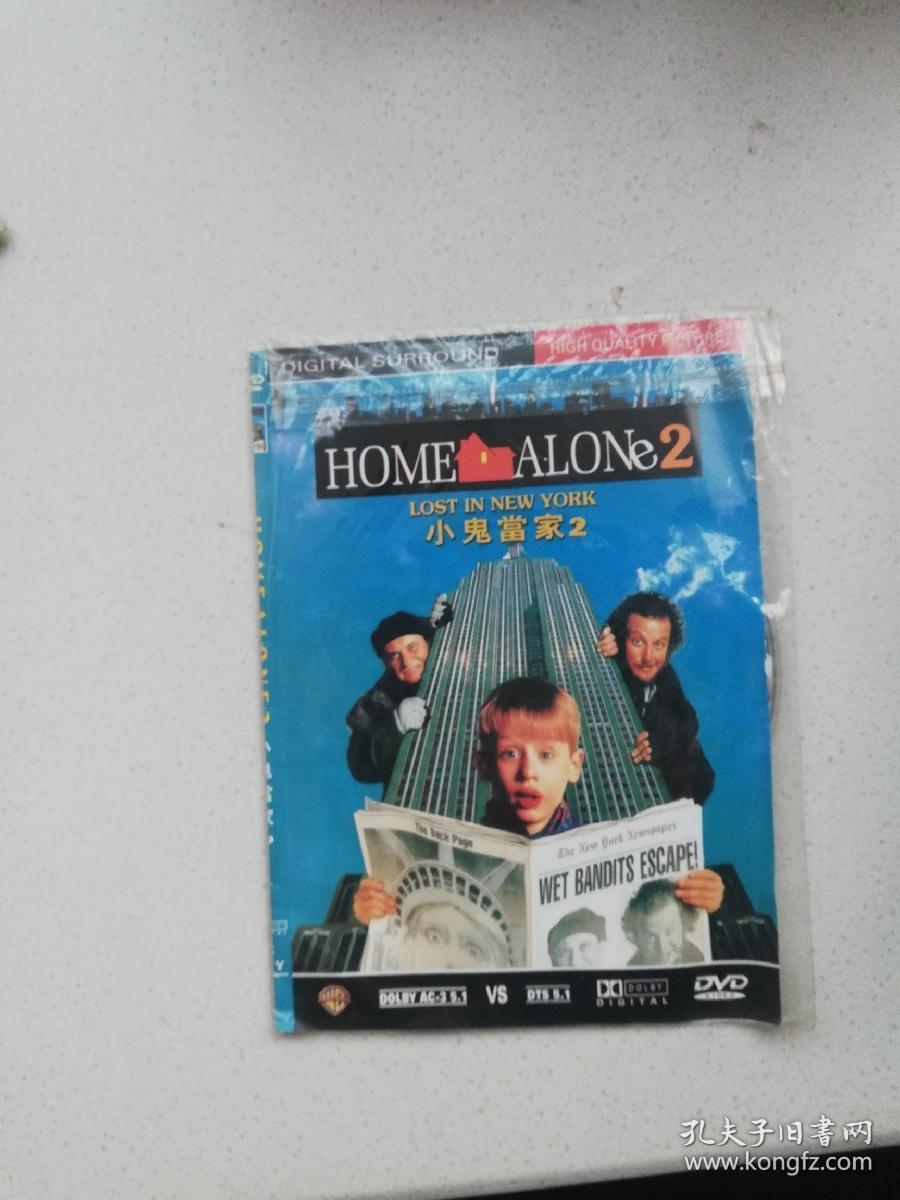 dvd,小鬼当家2