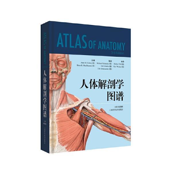 人体解剖图谱