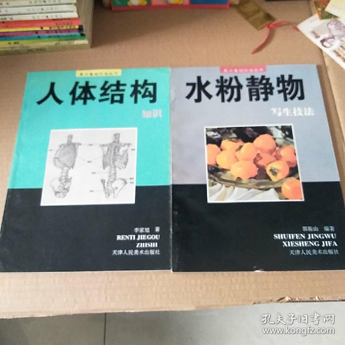 美术基础技法丛书:人体结构知识,水粉静物写生技法