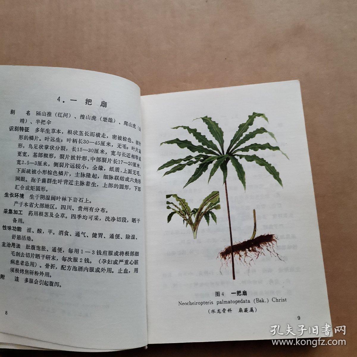 云南中草药选 云南中草药选续集【2本合售】