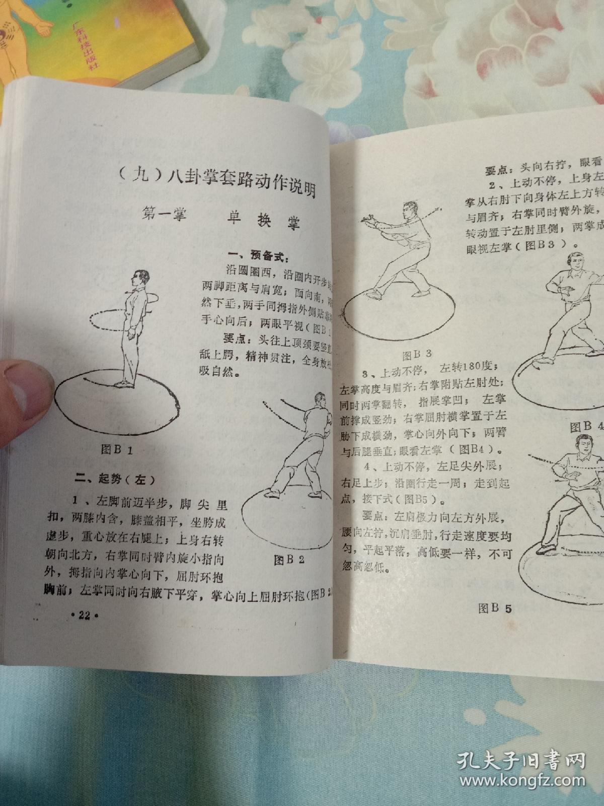 精义八卦掌