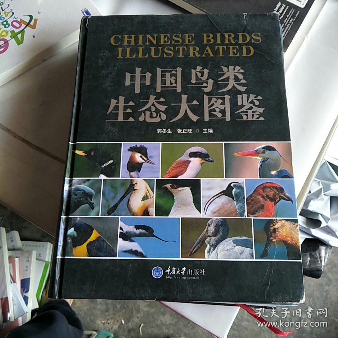 中国鸟类生态大图鉴