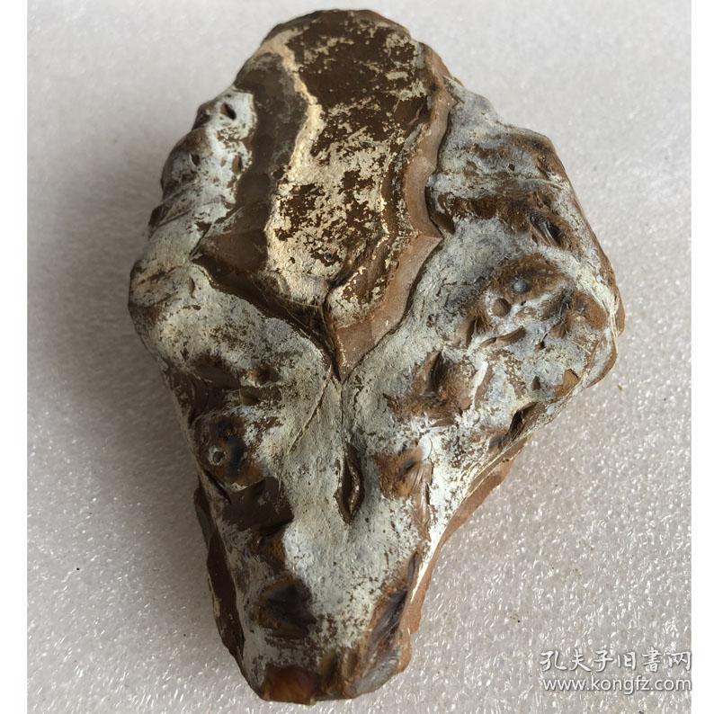 顶级玛瑙奇石,非常稀有难得玛瑙原石"怪兽化石","海洋