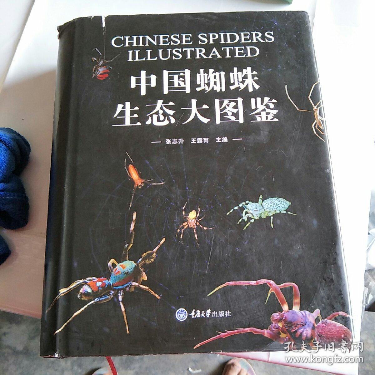 中国蜘蛛生态大图鉴