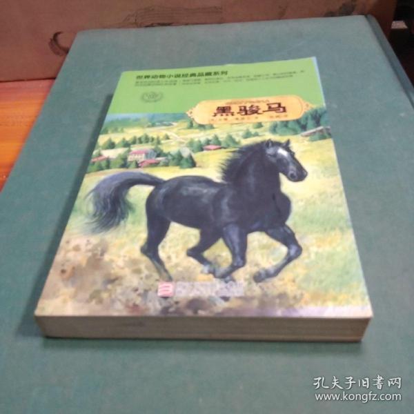 黑骏马