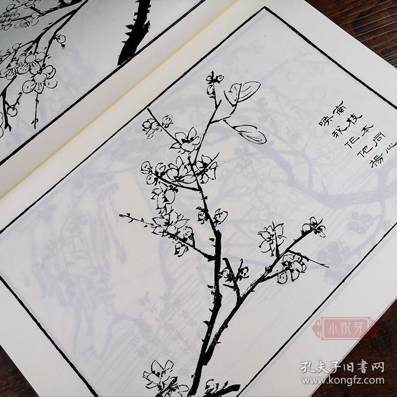 梅兰梅兰简谱_梅兰竹菊国画
