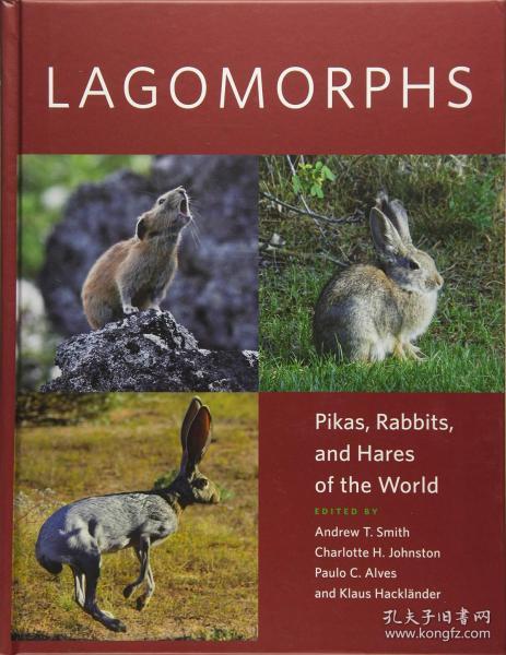 hares,haters lagomorphs: pikas, rabbits, and hares of the world 英文原版 兔形