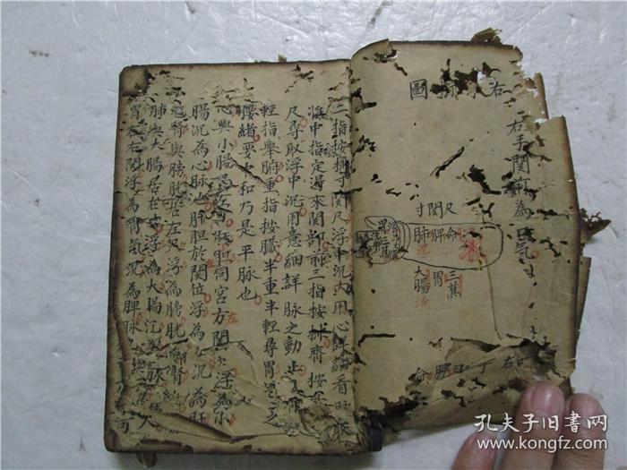 清代小32开毛笔精美手抄画图抄有论脉三阴三阳之法十二经阴阳补泻席弘