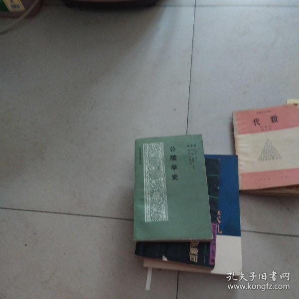 品牍内衣_内衣美女(2)