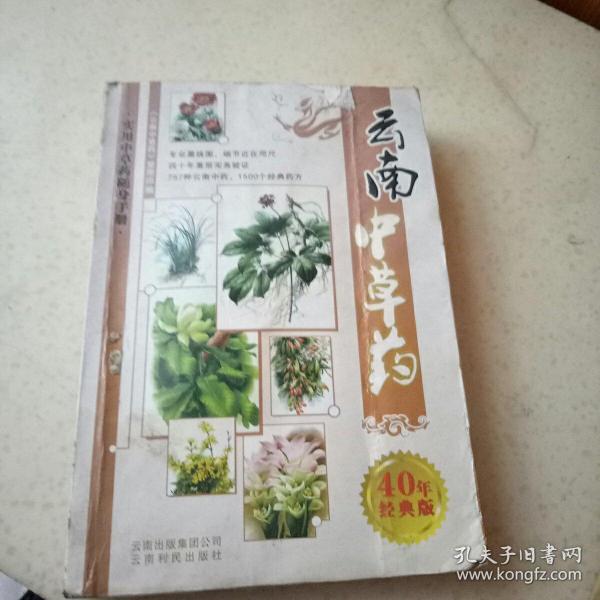 云南中草药选书 李健 武汉出版社 2010-01 平装 稷宝图书专营店