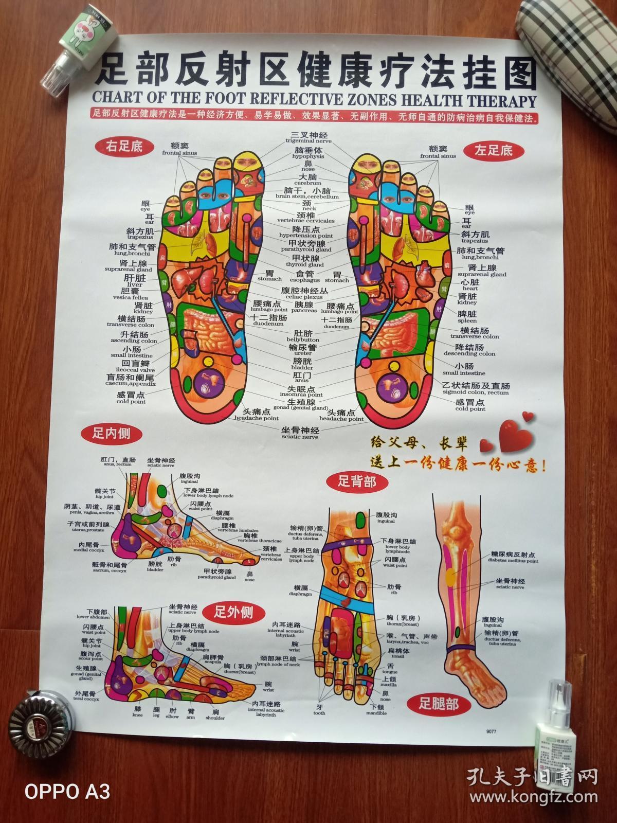 针灸穴位挂图三张(尺寸84.5×56.