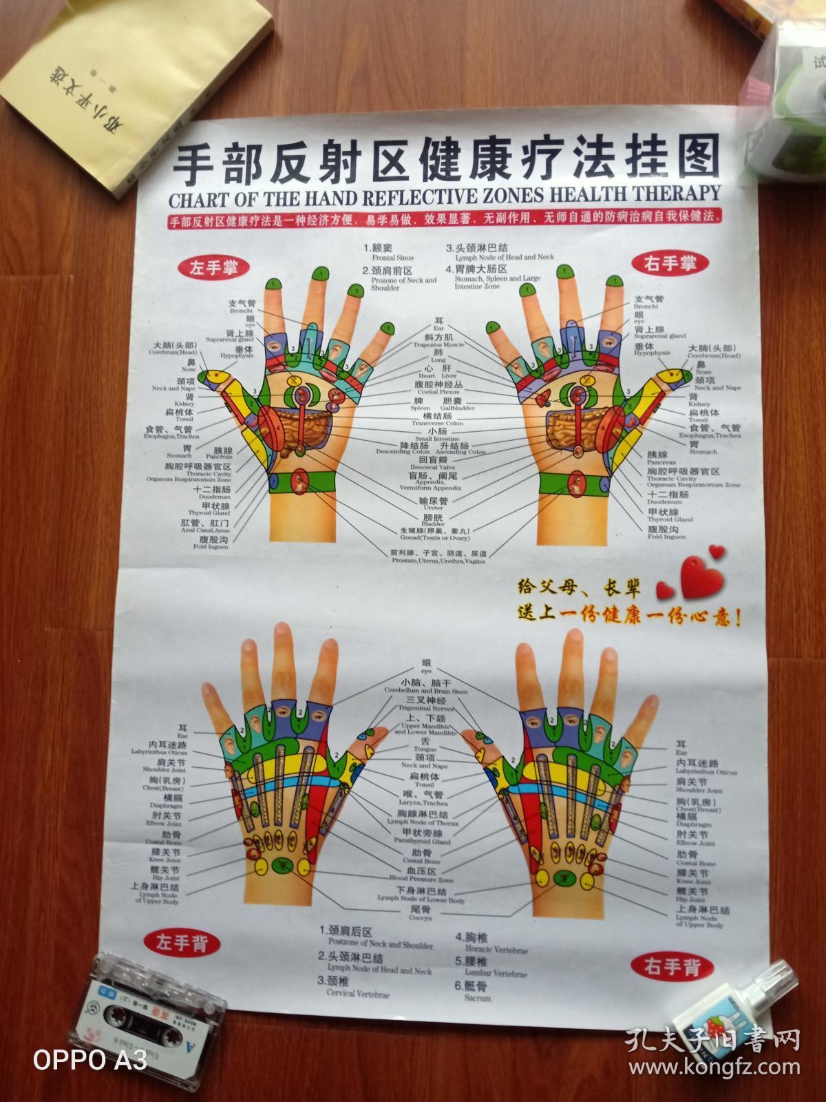 针灸穴位挂图三张(尺寸84.5×56.