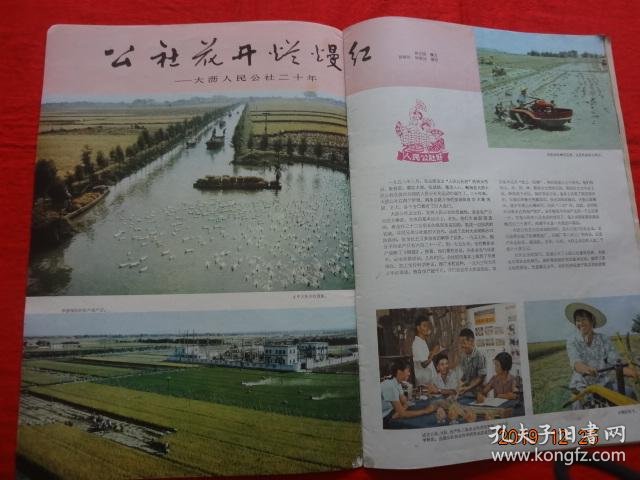 广东gdp故意少报_广东各市gdp排名