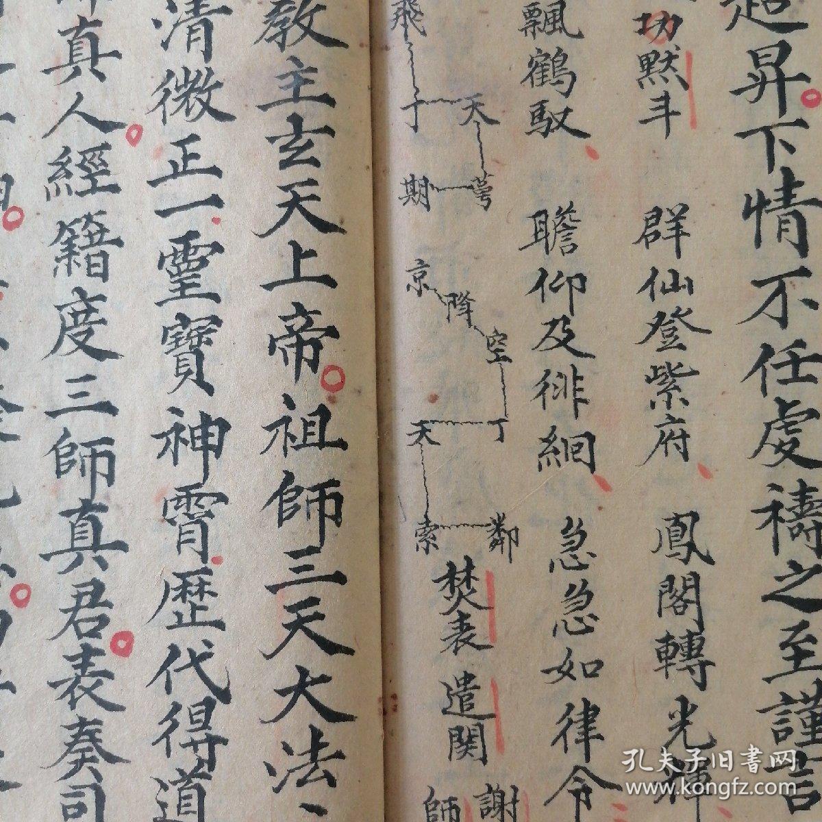 十王表科