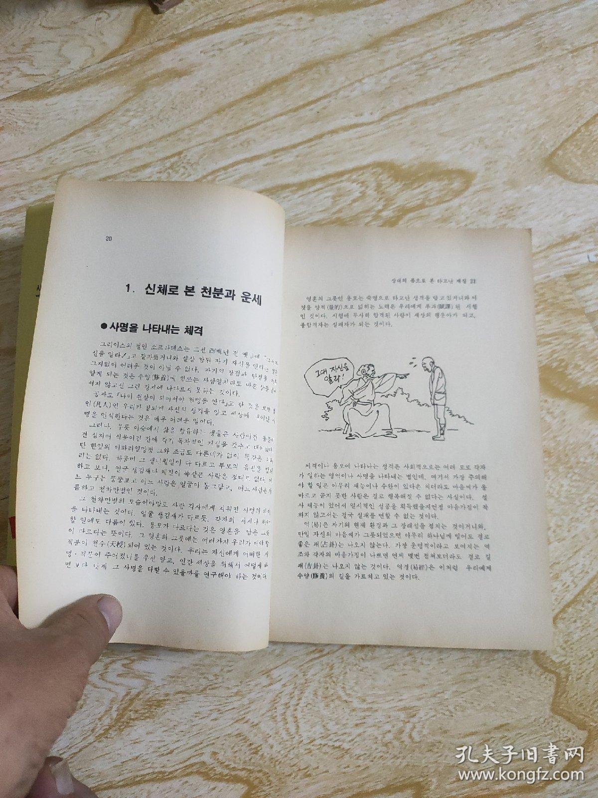 010c99a87eb280fbd7_b.jpg