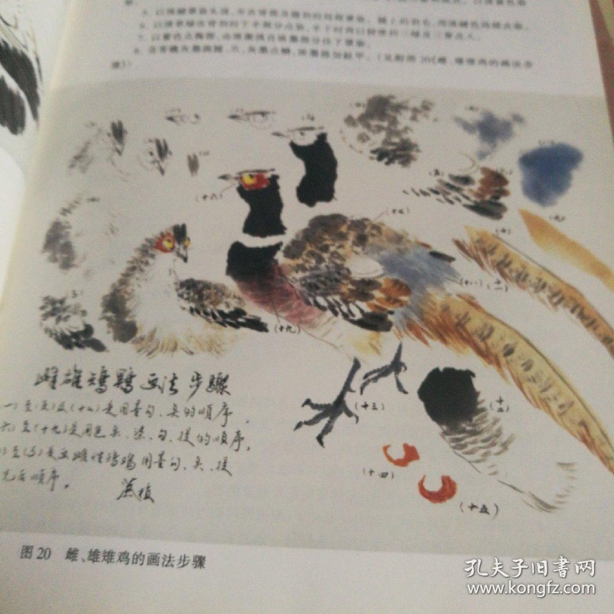 老年学书画·写意花鸟画技法9:鸟类3