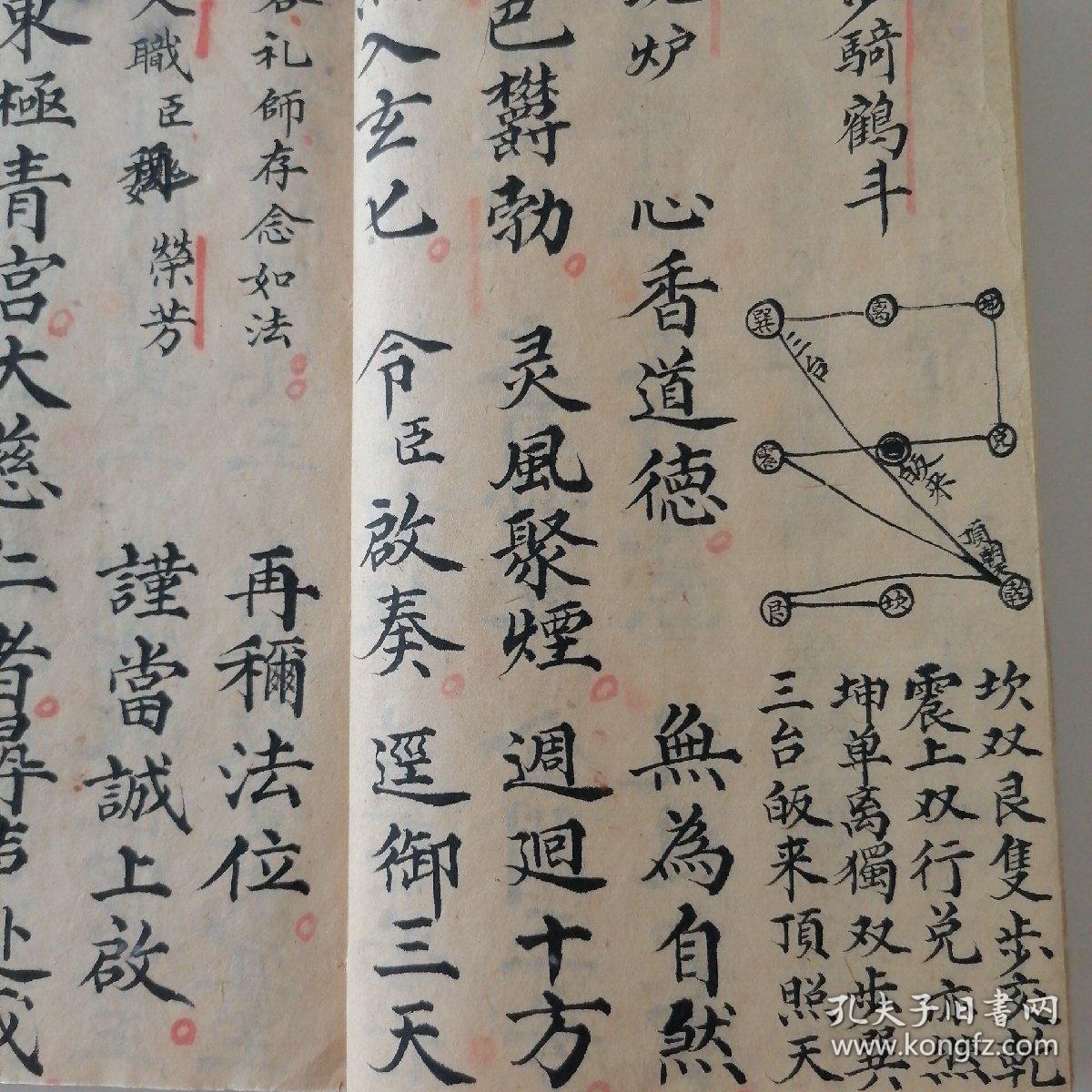 十王表科