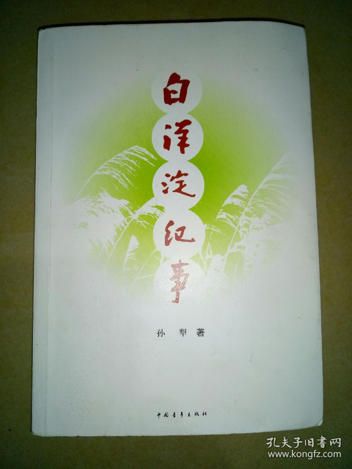 白洋淀纪事