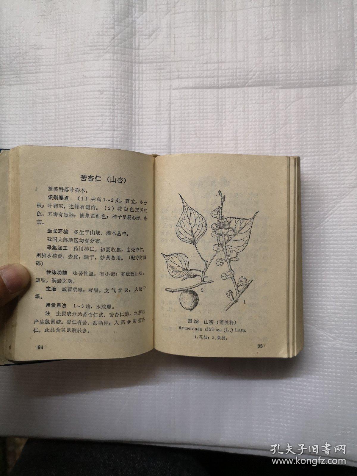北方常用中草药手册(前面撕了几张,后面全)