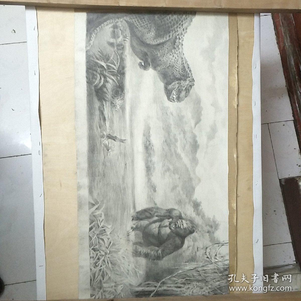素描,场景,金刚霸王龙