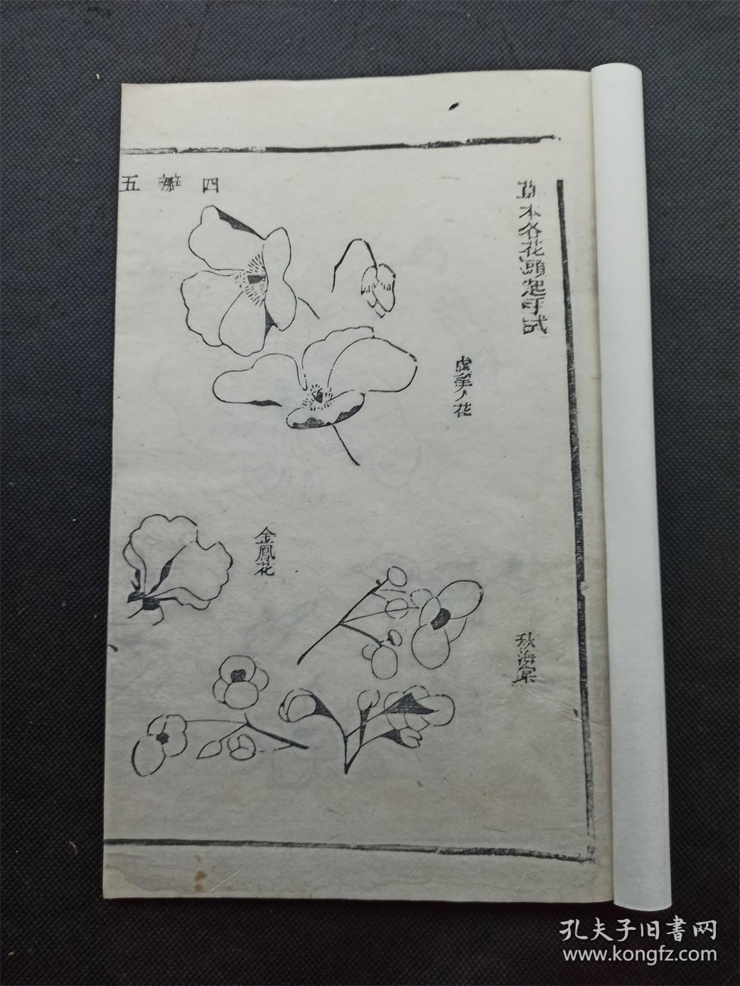 《芥子园画谱三集之草虫花卉谱》全书2册全,保存完好,内容完整,字口