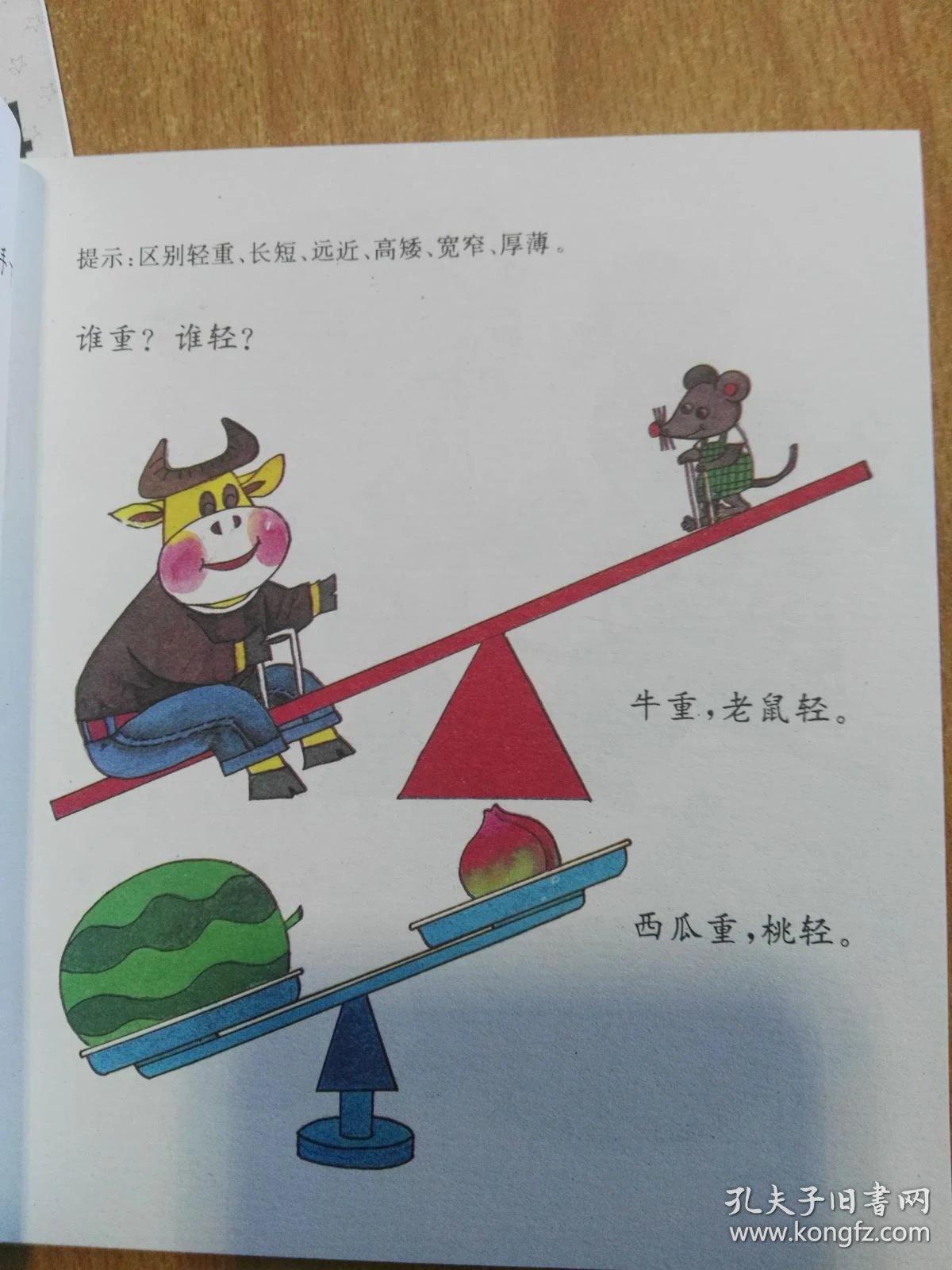 010f31ff6ed1649223_b.jpg