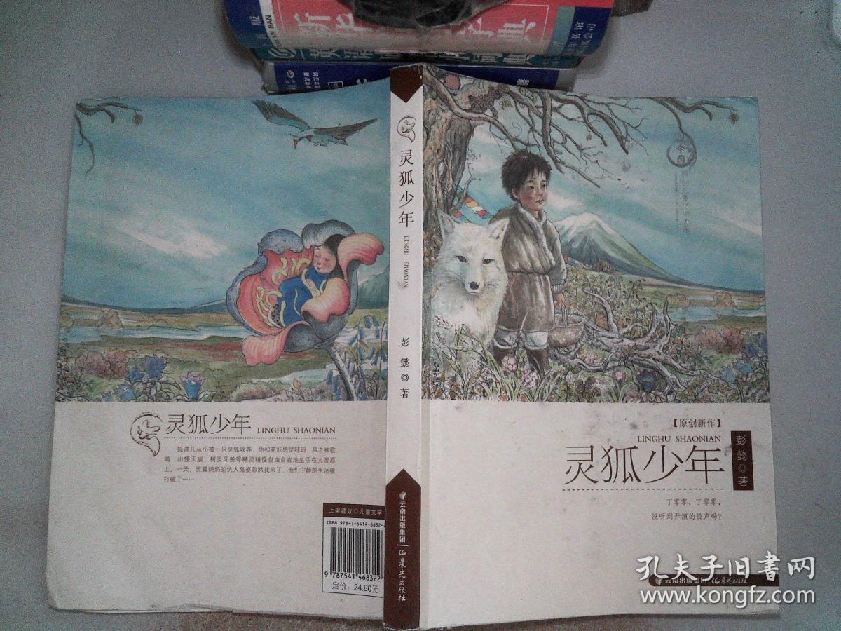 灵狐少年