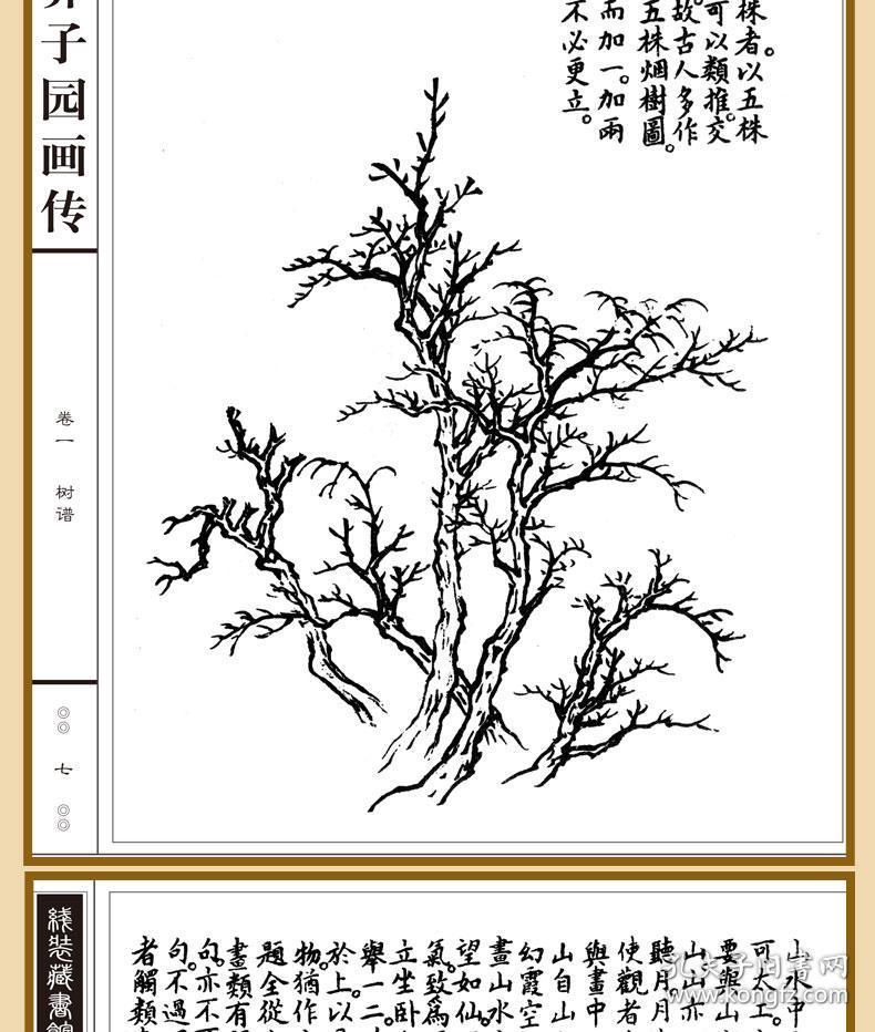 4册 芥子园画谱套装全集 绘画入门教科书全套中国传世山水画写意花鸟