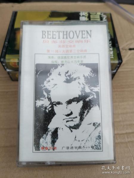 英雄交响曲简谱_命运交响曲简谱(3)