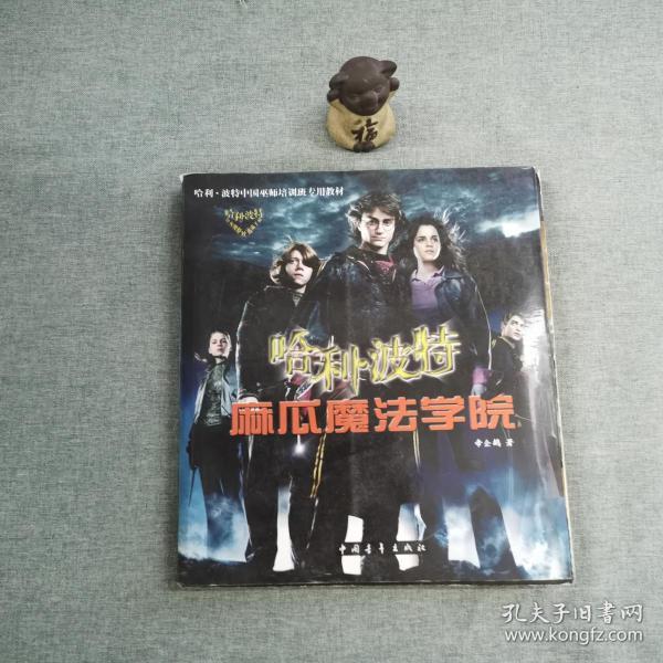 哈利·波特麻瓜魔法学院