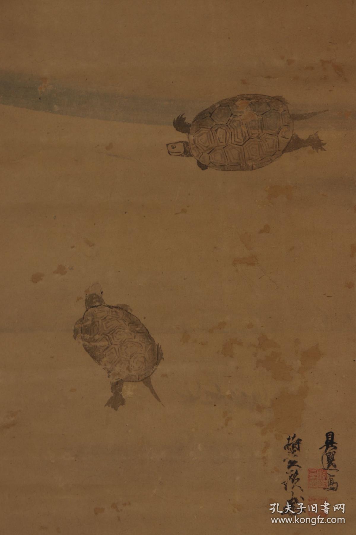 回流字画 乌龟 玄武 ;检索用 清代 清末 民国 老画 绢本 纸本 日本