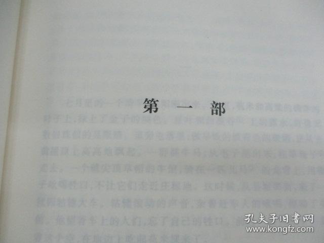0111e8c8be4b90e027_b.jpg