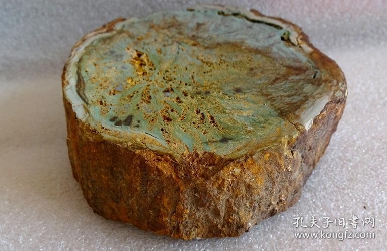 顶级极品纯天然极为罕见和难得的化石"冰种树化石",""