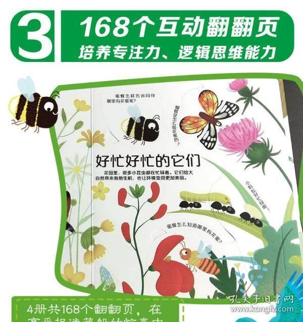 01124d4186a55ad372_b.jpg