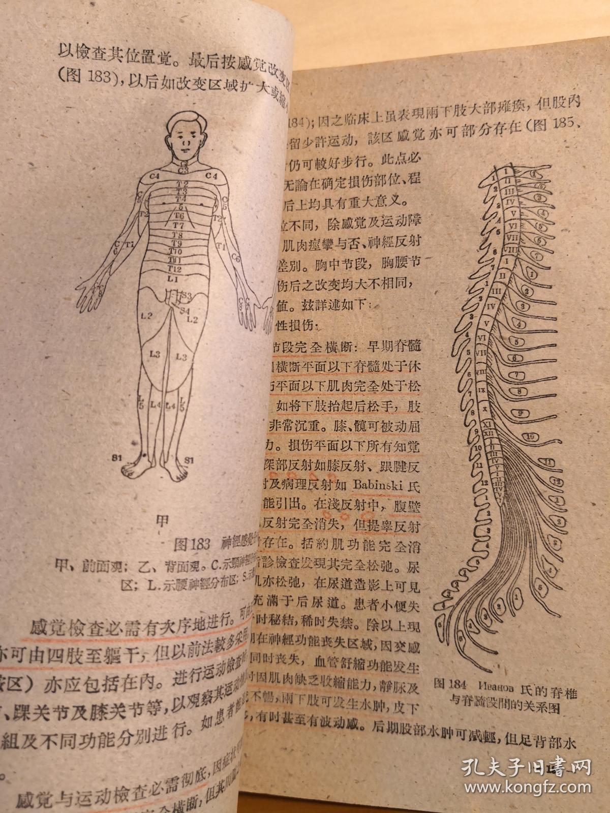 附骨什么疸成语_成语故事图片(3)