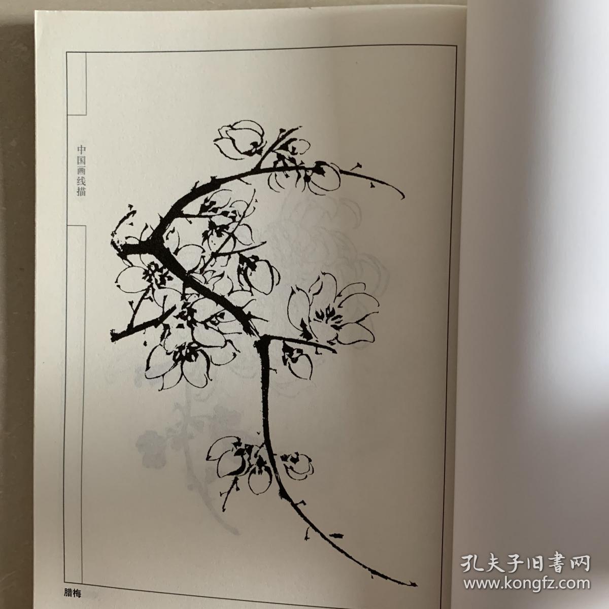 包邮特价 正版库存书籍 中国画线描-四季花卉画谱(16k