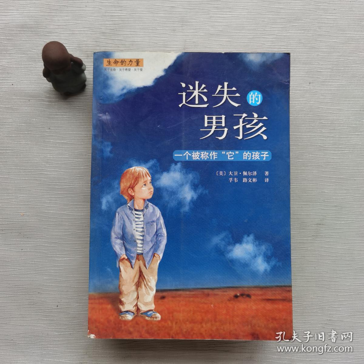 迷失的男孩:一个被称作"它"的孩子