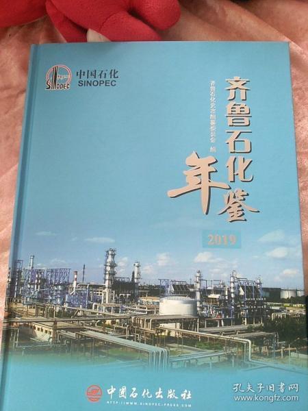 临淄区经济总量包括齐鲁石化吗_经济全球化